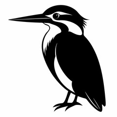 Elegant Black Kingfisher Vector Art