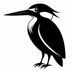 Fototapeta premium Elegant Black Kingfisher Vector Art