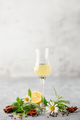 Natural homemade herbal liqueur in glasses. Green leaves and spices .