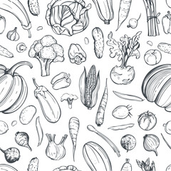 Hand-drawn vegetables on white background. . Vector seamless pattern.  