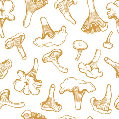 Hand-drawn chanterelle mushrooms  on white background.  Vector seamless pattern. 