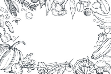 Obraz premium Hand-drawn vegetables. Vector background. Sketch illustration. 