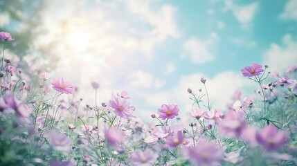 clear view of the cloudy sky, light coloured flower and garden, change the colour shade to colour dusty purple #78577B mint green #3EB489 and fairytale 