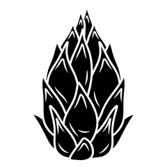 dragon fruit icon logo vector