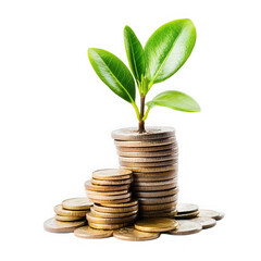 Pile of coins with a growing plant on top symbolizing financial growth isolated on transparent background