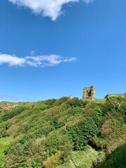 Whitby castle