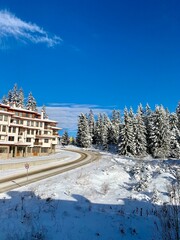 winter, snow, landscape, tree, forest, cold, mountain, sky, nature, trees, white, frost, ice, christmas, mountains, frozen, snowy, season, blue, ski, clouds, beautiful, scenery, fir, xmas
