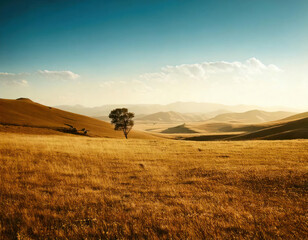 Obraz premium A serene landscape featuring a solitary tree in a vast golden prairie, with rolling hills and clear skies. Ideal for nature, travel, and scenic themes. Landscape Awesome Solitude minimal soft light