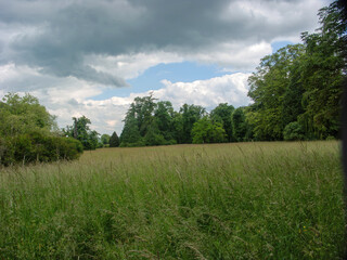 Landscapes and Meadows
