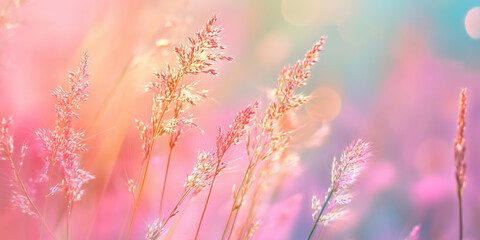 Naklejka premium A beautiful spring flower meadow. Magical nature background blossom. Perfect for cosmetics, spa, perfume, beauty salon, florist shop, health care product, homeopathy, aromatherapy