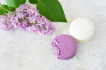 Lilacs and macarons on a white surface, close up