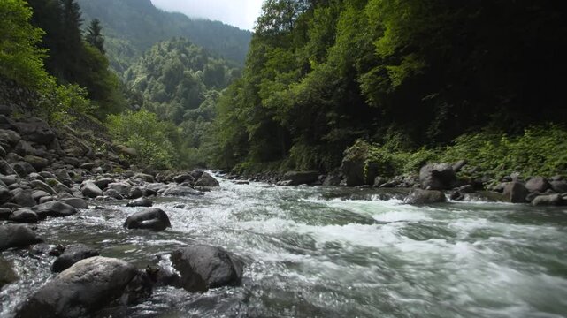 Freshwater resources footage. Captured in Kackar Mountains of The Turkey