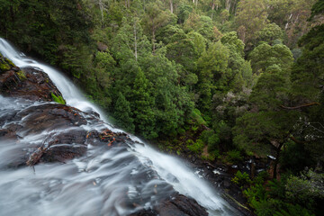 Russell Falls im Mount Field Nationalpark Australien. Wasserfall von oben.