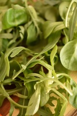 Fresh green salad leaves and arugula