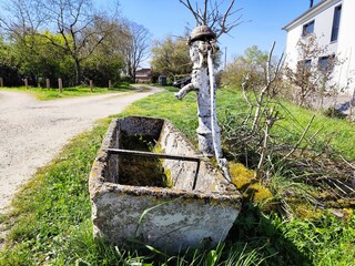 An old white hand pump at the side of a path and a deteriorated trough just in front of it