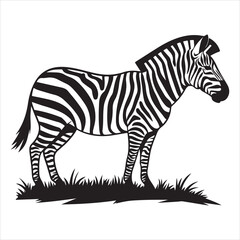 set of black various zebra vector silhouettes