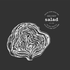 Vintage Style Chalk Board Lettuce Illustration. Green Iceberg Vegetable Illustration. Vector Hand Drawn Salad.