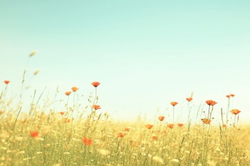 青空の下、ひまわり畑で鮮やかな赤い花が揺れる風景を楽しむ夏の日
