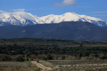 Fototapeta premium Panorama zoomé du Canigou enneigé au printemps