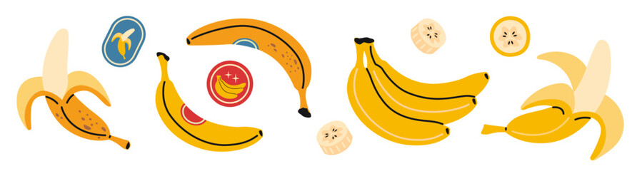 Set with bananas, bunch, whole and cut fruits and slices. Modern vector illustration isolated on white background, hand drawn, flat design © WinWinFolly