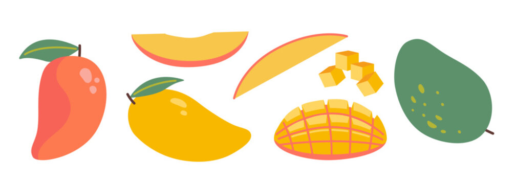 Set with variety mango forms, whole, sliced, and cubed tropical fruit. Modern vector illustration isolated on white background, hand drawn, flat design