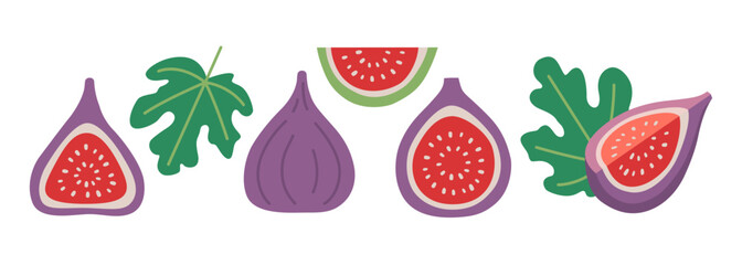 Set with Whole purple Fig, halved fruit with a seeds, slice and leaves. Modern vector illustration isolated on white background, hand drawn, flat design