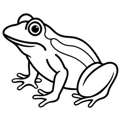 Elegant Frog Outline Illustration