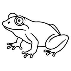 Elegant Frog Outline Illustration