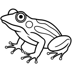 Elegant Frog Outline Illustration