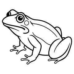 Elegant Frog Outline Illustration
