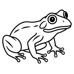 Elegant Frog Outline Illustration