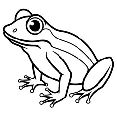 Elegant Frog Outline Illustration