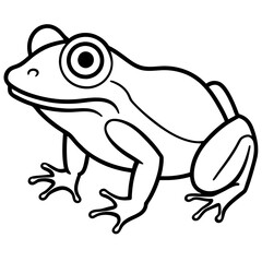 Elegant Frog Outline Illustration