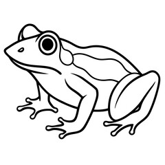 Elegant Frog Outline Illustration
