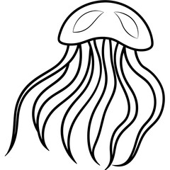 Elegant Jellyfish Outline Illustration