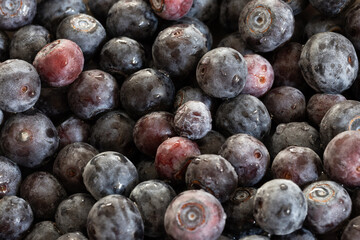 closeup of blueberries in a bowl
