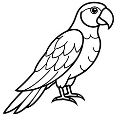Elegant Macaw Outline Illustration