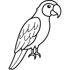 Elegant Macaw Outline Illustration