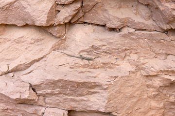 Green trees on beautiful rocks high in the mountains.