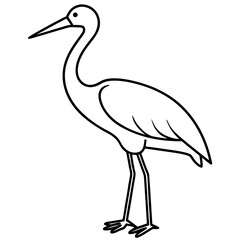 Elegant Stork Outline Illustration