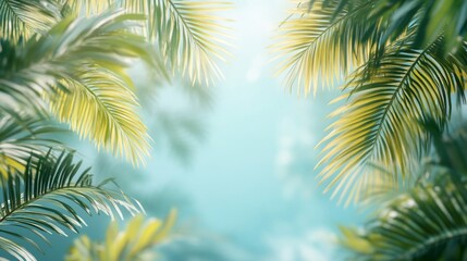 Bright Sunlight Through Lush Green Palm Leaves