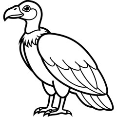 Elegant Vulture Outline Illustration