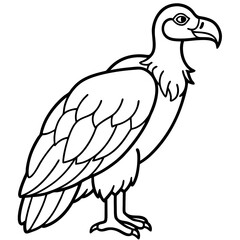 Elegant Vulture Outline Illustration