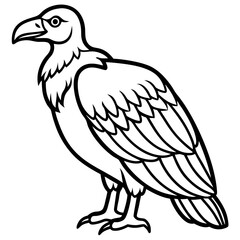 Elegant Vulture Outline Illustration