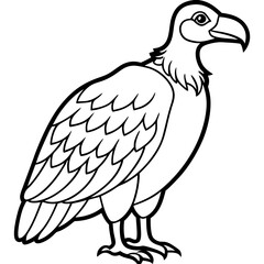 Elegant Vulture Outline Illustration
