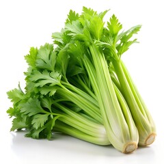 celery isolated on white