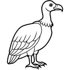 Elegant Vulture Outline Illustration