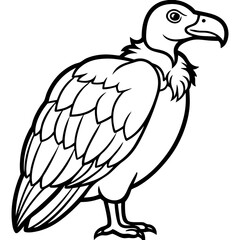 Elegant Vulture Outline Illustration