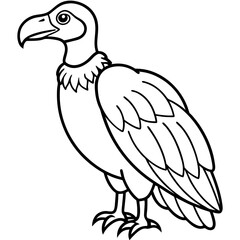 Elegant Vulture Outline Illustration
