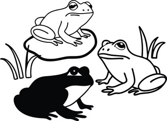 frog sitting on a branch